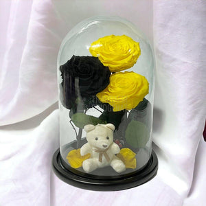 3 Trandafiri Criogenati mari, 2 galbeni, 1 negru, cupola ursulet - Trandafir-Criogenat.ro