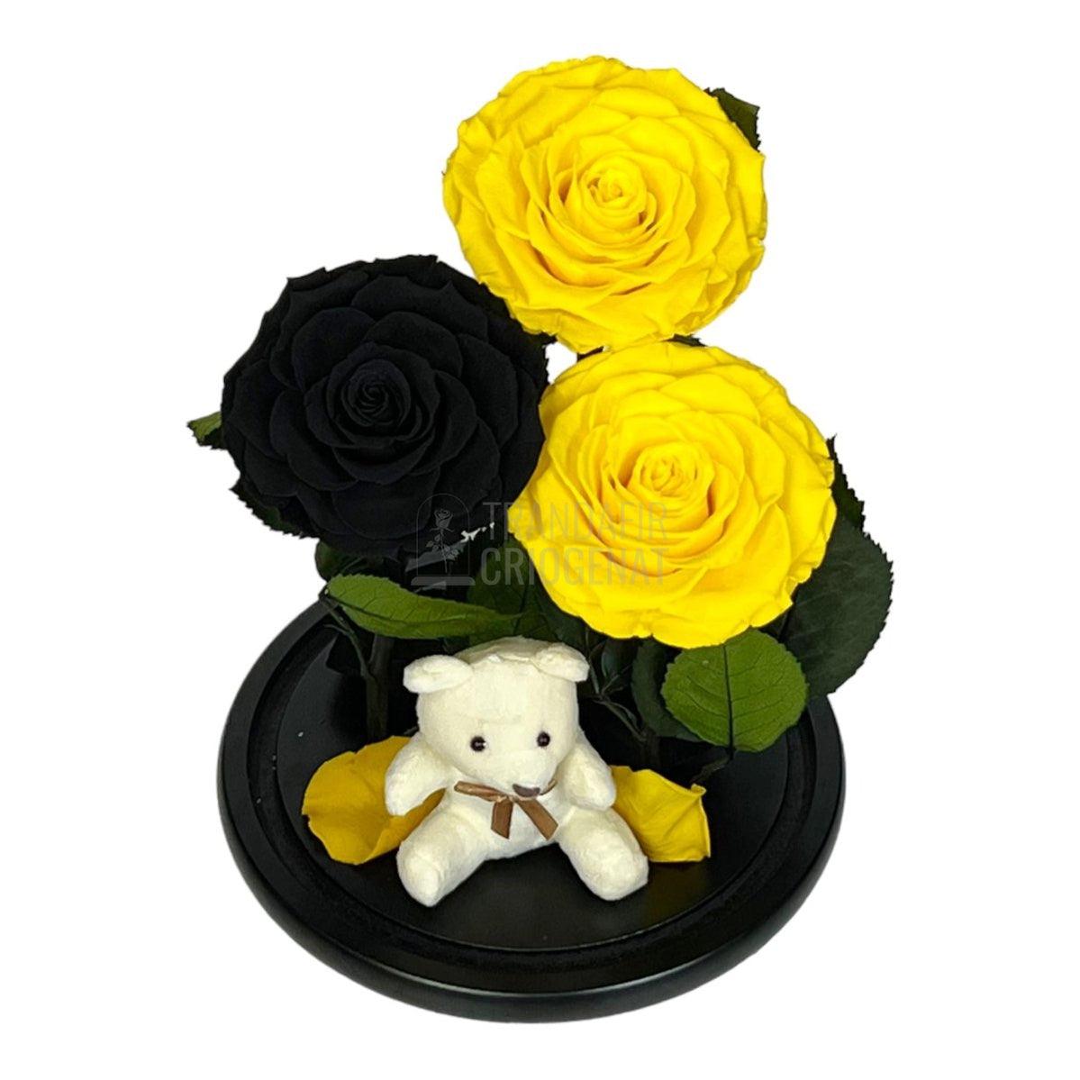 3 Trandafiri Criogenati mari, 2 galbeni, 1 negru, cupola ursulet - Trandafir-Criogenat.ro