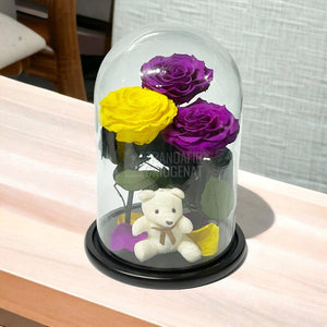 3 Trandafiri Criogenati mari, 2 purpurii, 1 galben, cupola ursulet - Trandafir-Criogenat.ro