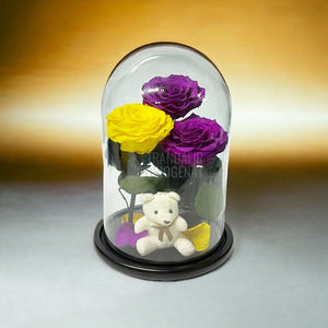 3 Trandafiri Criogenati mari, 2 purpurii, 1 galben, cupola ursulet - Trandafir-Criogenat.ro