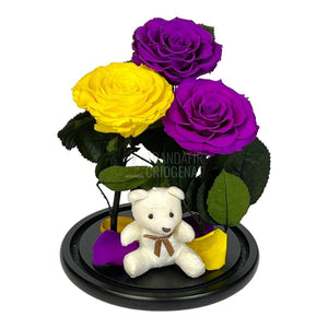 3 Trandafiri Criogenati mari, 2 purpurii, 1 galben, cupola ursulet - Trandafir-Criogenat.ro