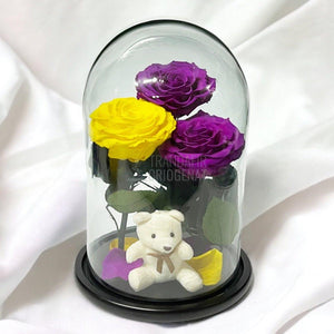 3 Trandafiri Criogenati mari, 2 purpurii, 1 galben, cupola ursulet - Trandafir-Criogenat.ro