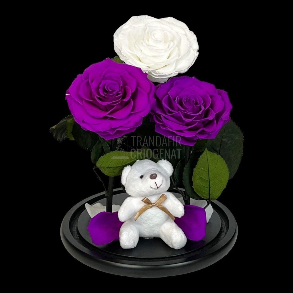 3 Trandafiri Criogenati mari, 2 purpuriu, 1 alb, cupola ursulet - Trandafir-Criogenat.ro