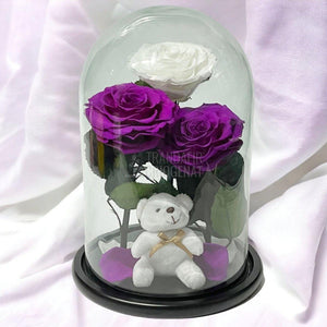 3 Trandafiri Criogenati mari, 2 purpuriu, 1 alb, cupola ursulet - Trandafir-Criogenat.ro