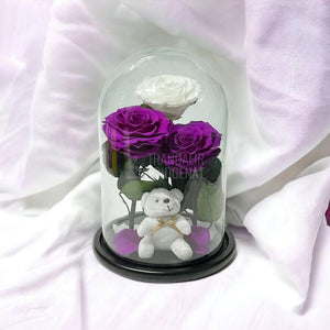 3 Trandafiri Criogenati mari, 2 purpuriu, 1 alb, cupola ursulet - Trandafir-Criogenat.ro