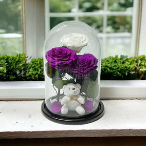 3 Trandafiri Criogenati mari, 2 purpuriu, 1 alb, cupola ursulet - Trandafir-Criogenat.ro