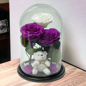 3 Trandafiri Criogenati mari, 2 purpuriu, 1 alb, cupola ursulet - Trandafir-Criogenat.ro