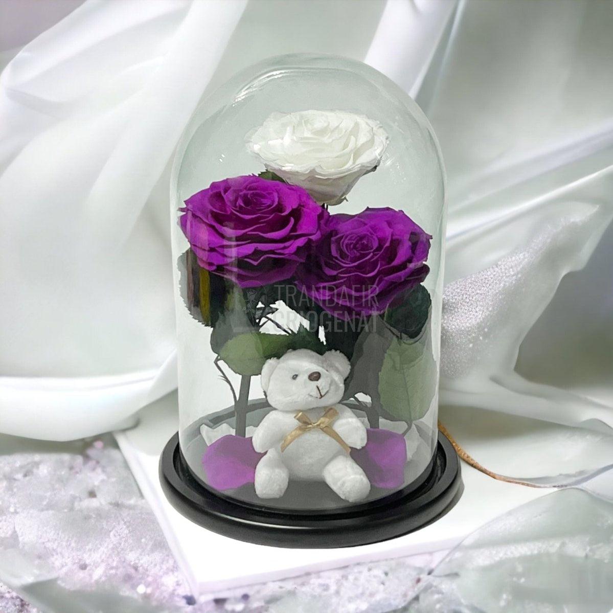 3 Trandafiri Criogenati mari, 2 purpuriu, 1 alb, cupola ursulet - Trandafir-Criogenat.ro