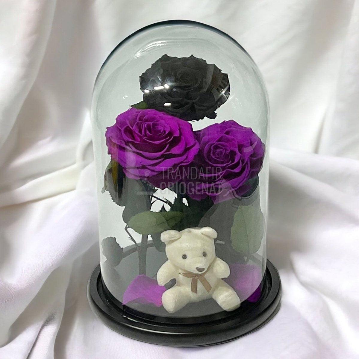 3 Trandafiri Criogenati mari, 2 purpuriu, 1 negru, cupola ursulet - Trandafir-Criogenat.ro