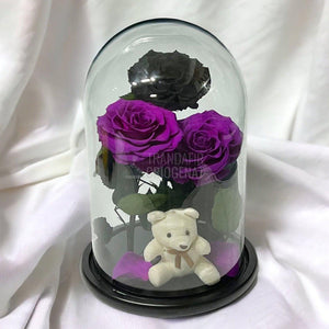 3 Trandafiri Criogenati mari, 2 purpuriu, 1 negru, cupola ursulet - Trandafir-Criogenat.ro