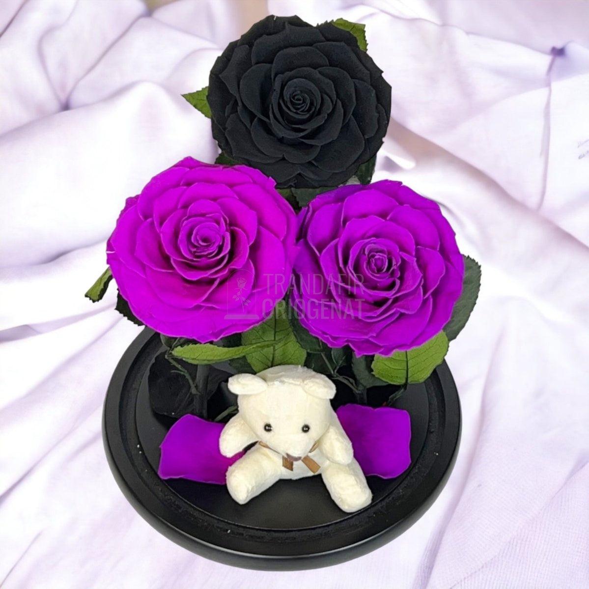 3 Trandafiri Criogenati mari, 2 purpuriu, 1 negru, cupola ursulet - Trandafir-Criogenat.ro