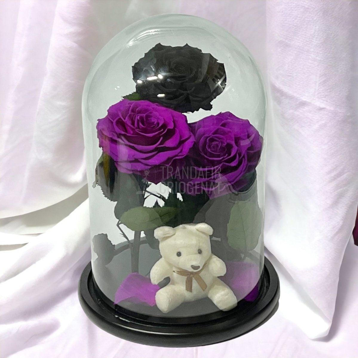 3 Trandafiri Criogenati mari, 2 purpuriu, 1 negru, cupola ursulet - Trandafir-Criogenat.ro