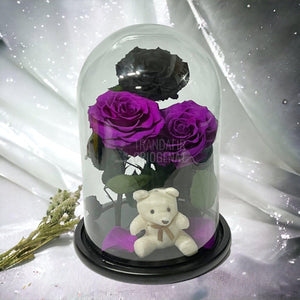 3 Trandafiri Criogenati mari, 2 purpuriu, 1 negru, cupola ursulet - Trandafir-Criogenat.ro