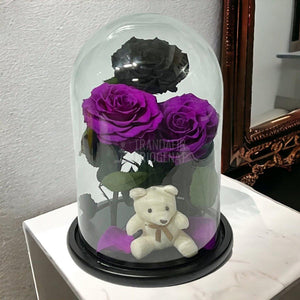 3 Trandafiri Criogenati mari, 2 purpuriu, 1 negru, cupola ursulet - Trandafir-Criogenat.ro