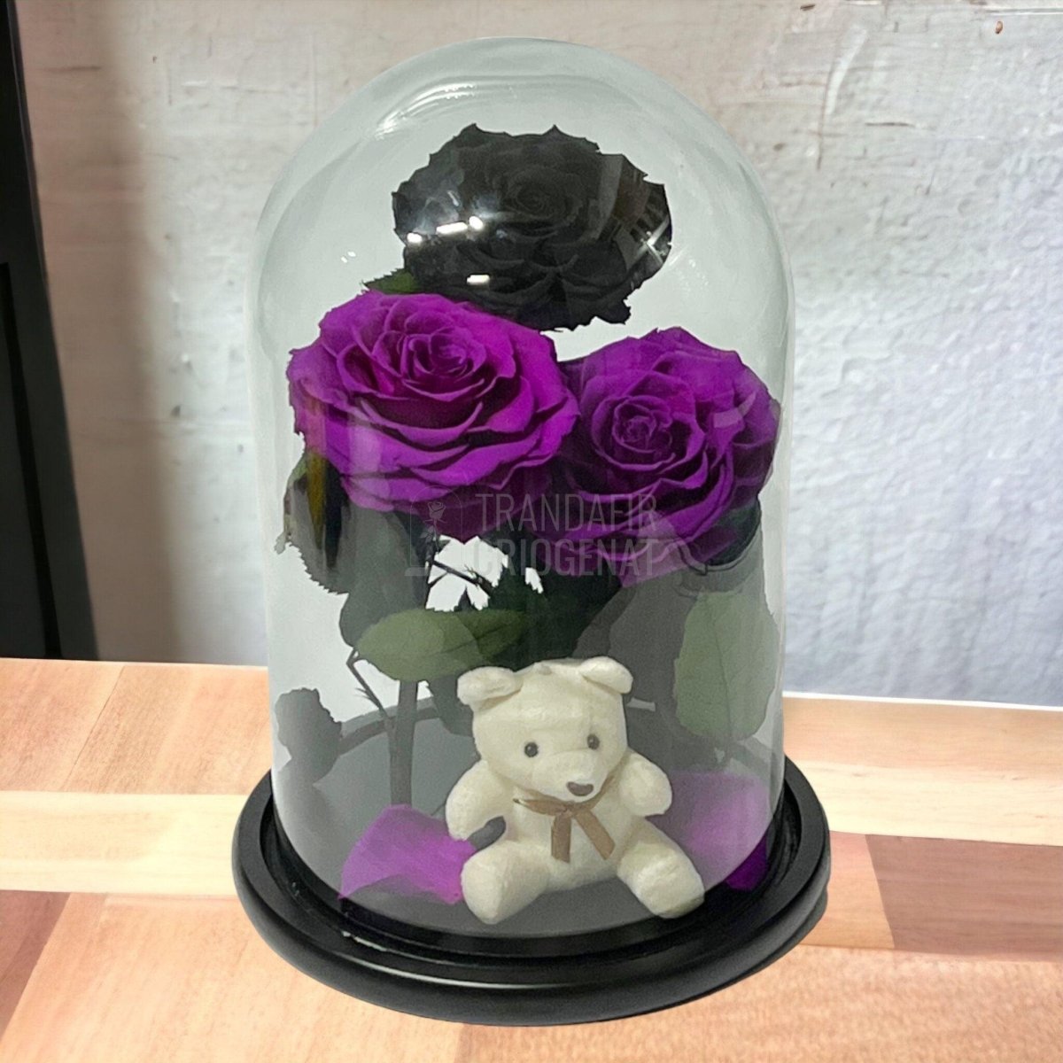 3 Trandafiri Criogenati mari, 2 purpuriu, 1 negru, cupola ursulet - Trandafir-Criogenat.ro