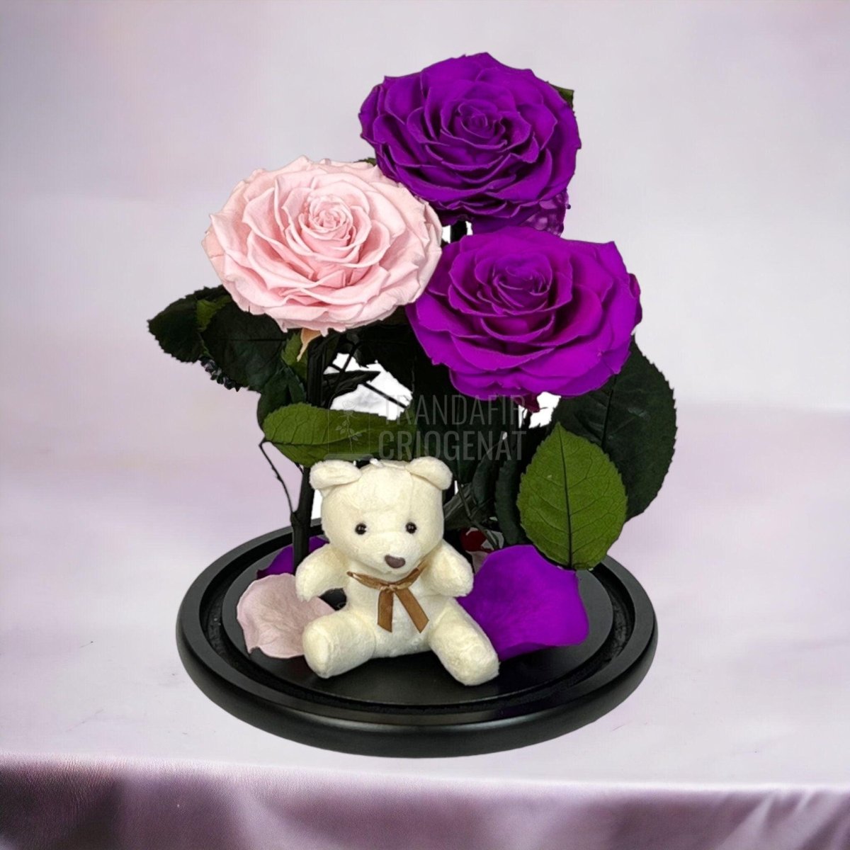 3 Trandafiri Criogenati mari, 2 purpuriu, 1 roz, cupola ursulet - Trandafir-Criogenat.ro