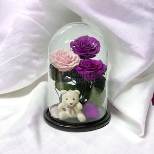 3 Trandafiri Criogenati mari, 2 purpuriu, 1 roz, cupola ursulet - Trandafir-Criogenat.ro