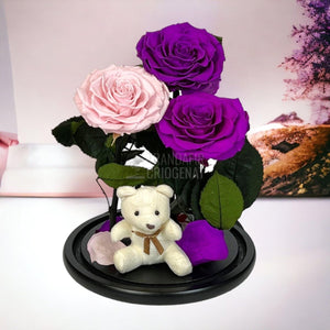 3 Trandafiri Criogenati mari, 2 purpuriu, 1 roz, cupola ursulet - Trandafir-Criogenat.ro