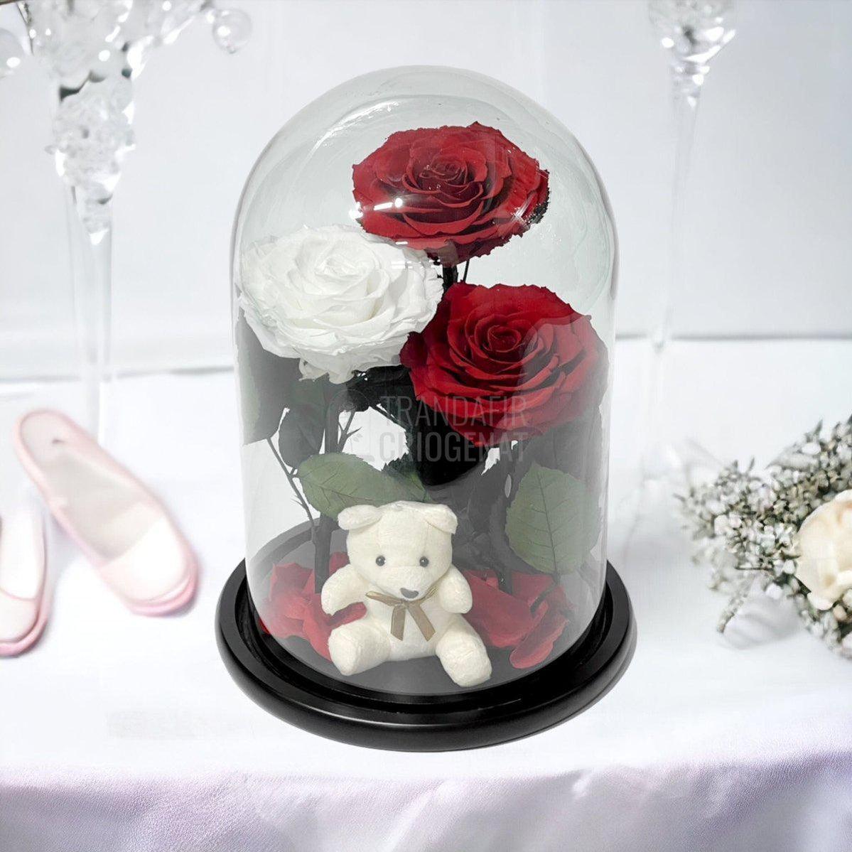 3 Trandafiri Criogenati mari, 2 rosii, 1 alb, cupola ursulet - Trandafir-Criogenat.ro