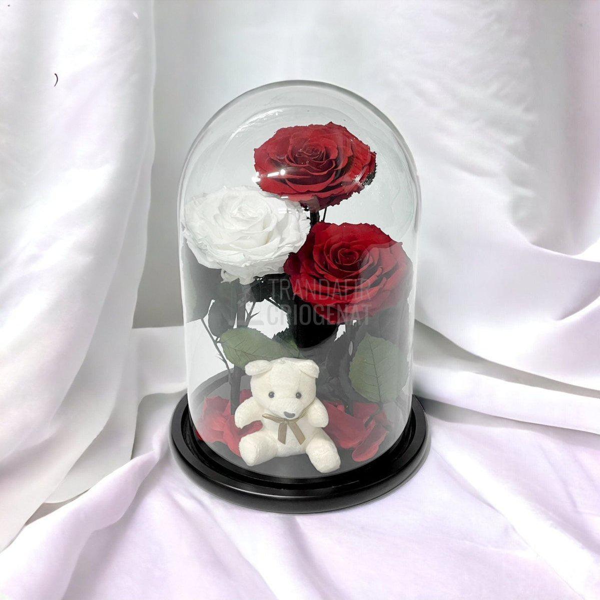 3 Trandafiri Criogenati mari, 2 rosii, 1 alb, cupola ursulet - Trandafir-Criogenat.ro
