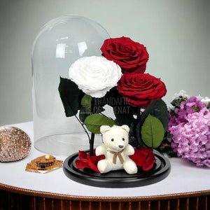 3 Trandafiri Criogenati mari, 2 rosii, 1 alb, cupola ursulet - Trandafir-Criogenat.ro