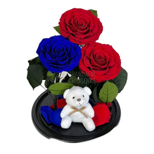 3 Trandafiri Criogenati mari, 2 rosii, 1 albastru, cupola ursulet - Trandafir-Criogenat.ro