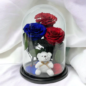 3 Trandafiri Criogenati mari, 2 rosii, 1 albastru, cupola ursulet - Trandafir-Criogenat.ro