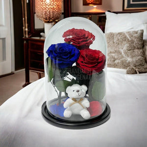 3 Trandafiri Criogenati mari, 2 rosii, 1 albastru, cupola ursulet - Trandafir-Criogenat.ro