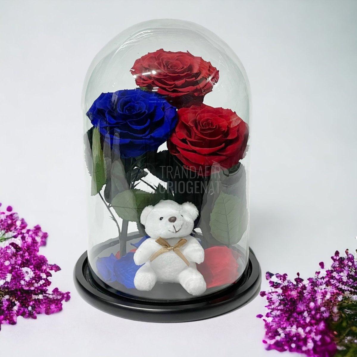 3 Trandafiri Criogenati mari, 2 rosii, 1 albastru, cupola ursulet - Trandafir-Criogenat.ro