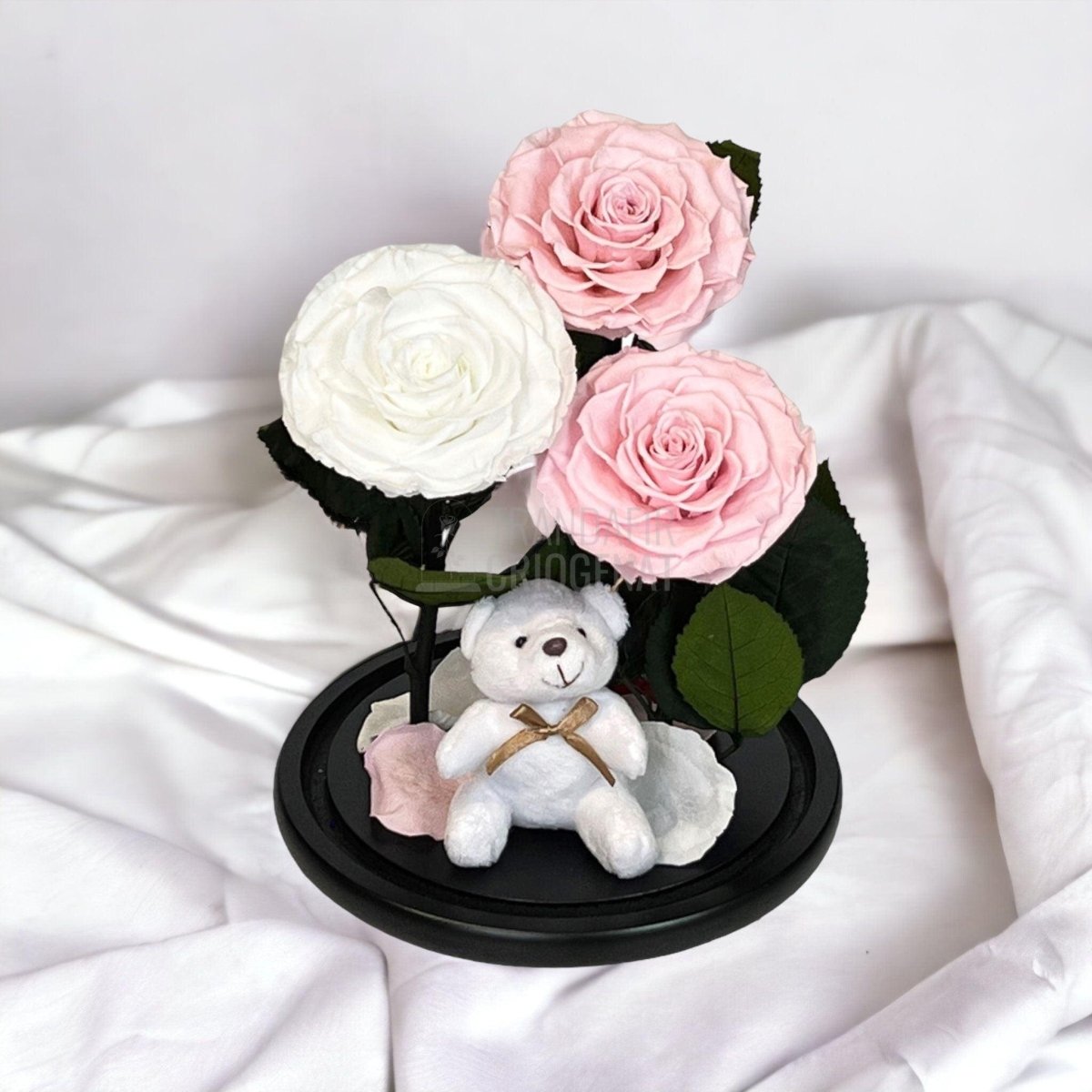 3 Trandafiri Criogenati mari, 2 roz, 1 alb, cupola cu ursulet - Trandafir-Criogenat.ro