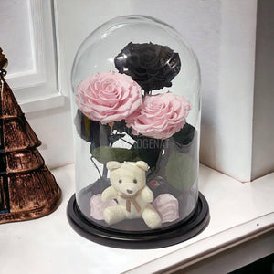 3 Trandafiri Criogenati mari, 2 roz, 1 negru, cupola cu ursulet - Trandafir-Criogenat.ro