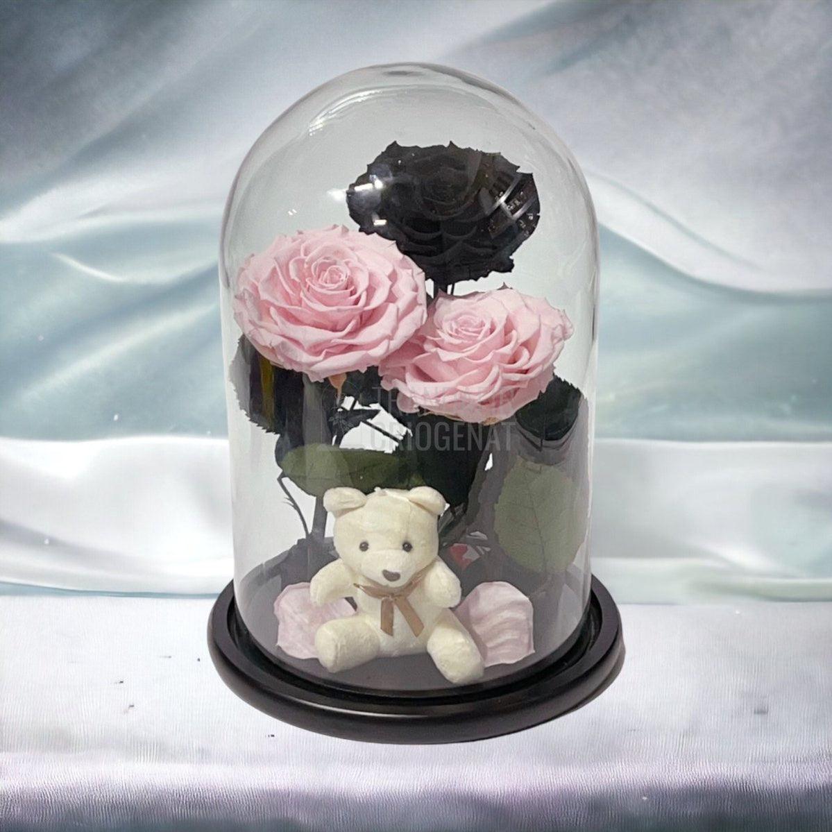 3 Trandafiri Criogenati mari, 2 roz, 1 negru, cupola cu ursulet - Trandafir-Criogenat.ro