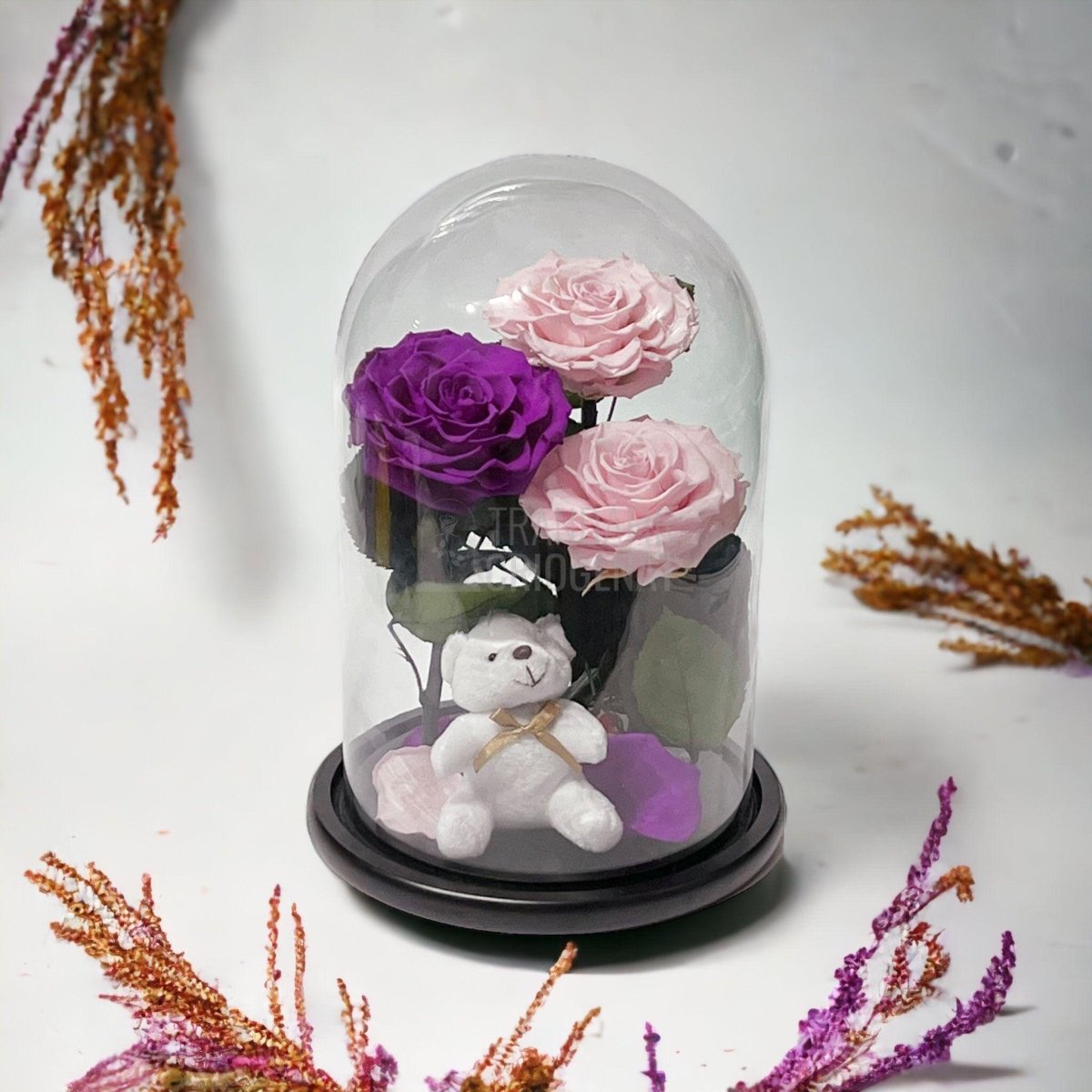 3 Trandafiri Criogenati mari, 2 roz, 1 purpuriu, cupola ursulet - Trandafir-Criogenat.ro