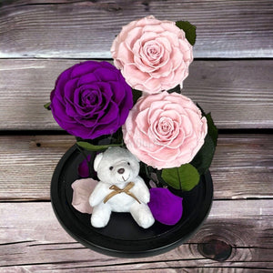 3 Trandafiri Criogenati mari, 2 roz, 1 purpuriu, cupola ursulet - Trandafir-Criogenat.ro