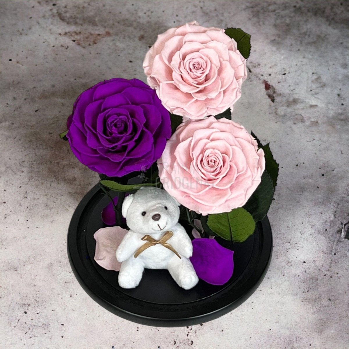 3 Trandafiri Criogenati mari, 2 roz, 1 purpuriu, cupola ursulet - Trandafir-Criogenat.ro