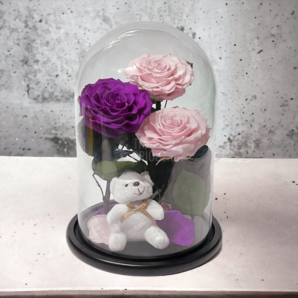 3 Trandafiri Criogenati mari, 2 roz, 1 purpuriu, cupola ursulet - Trandafir-Criogenat.ro