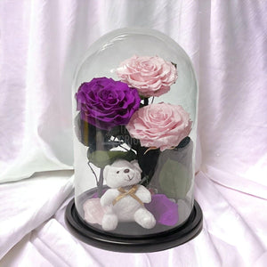 3 Trandafiri Criogenati mari, 2 roz, 1 purpuriu, cupola ursulet - Trandafir-Criogenat.ro