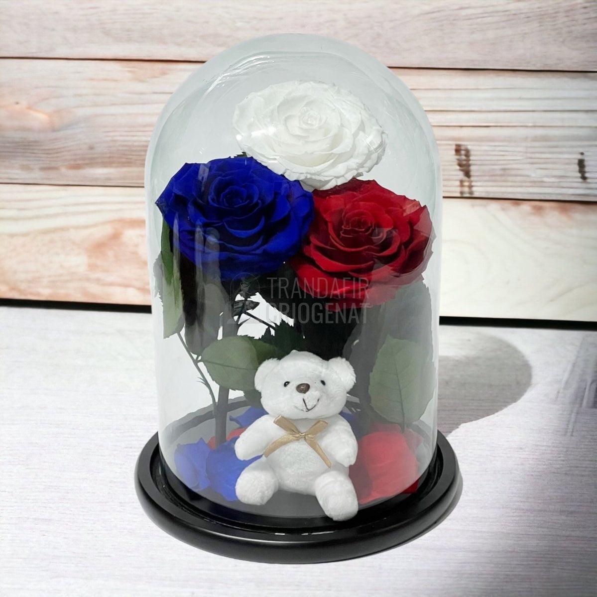 3 Trandafiri Criogenati mari, alb, albastru, rosu, cupola ursulet - Trandafir-Criogenat.ro