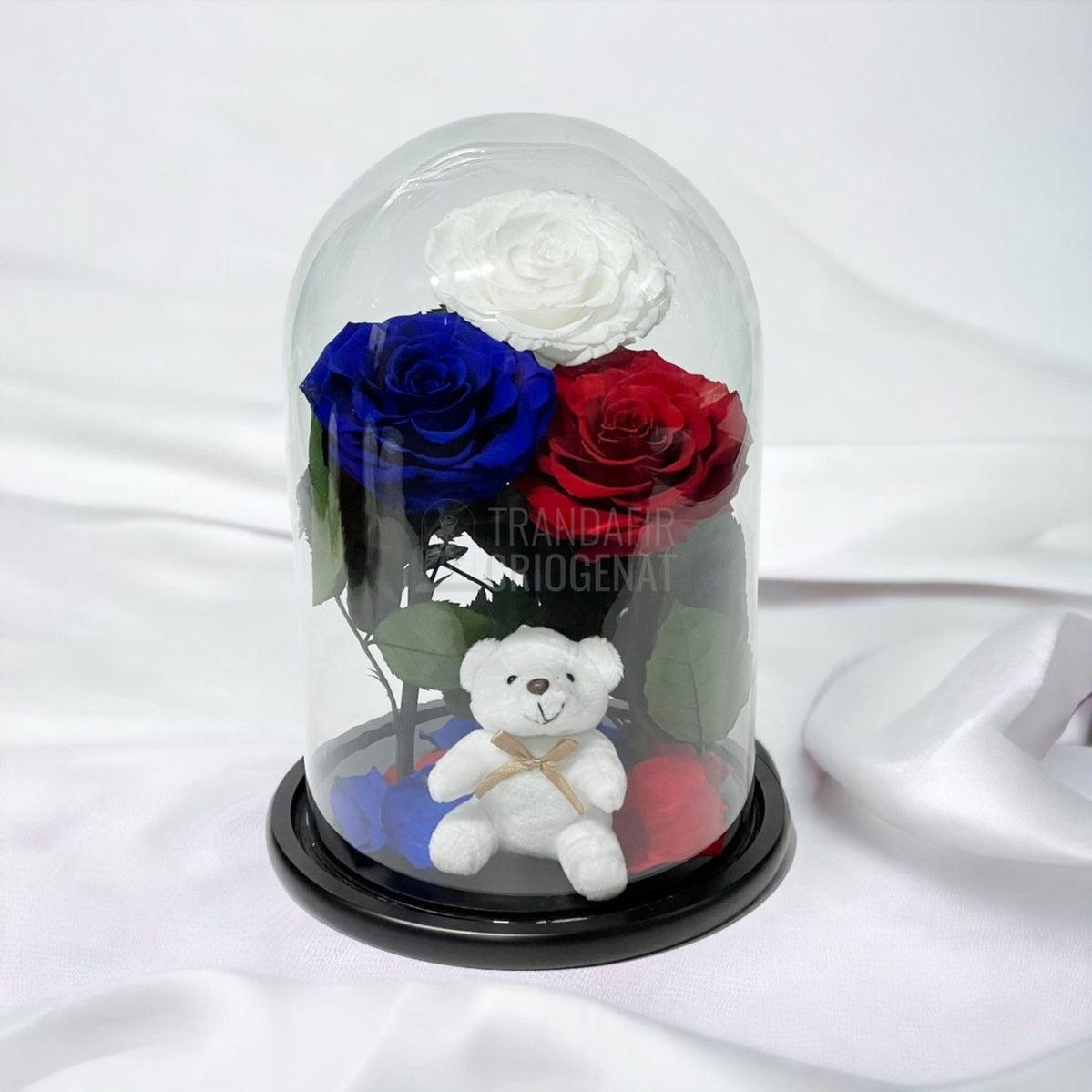 3 Trandafiri Criogenati mari, alb, albastru, rosu, cupola ursulet - Trandafir-Criogenat.ro