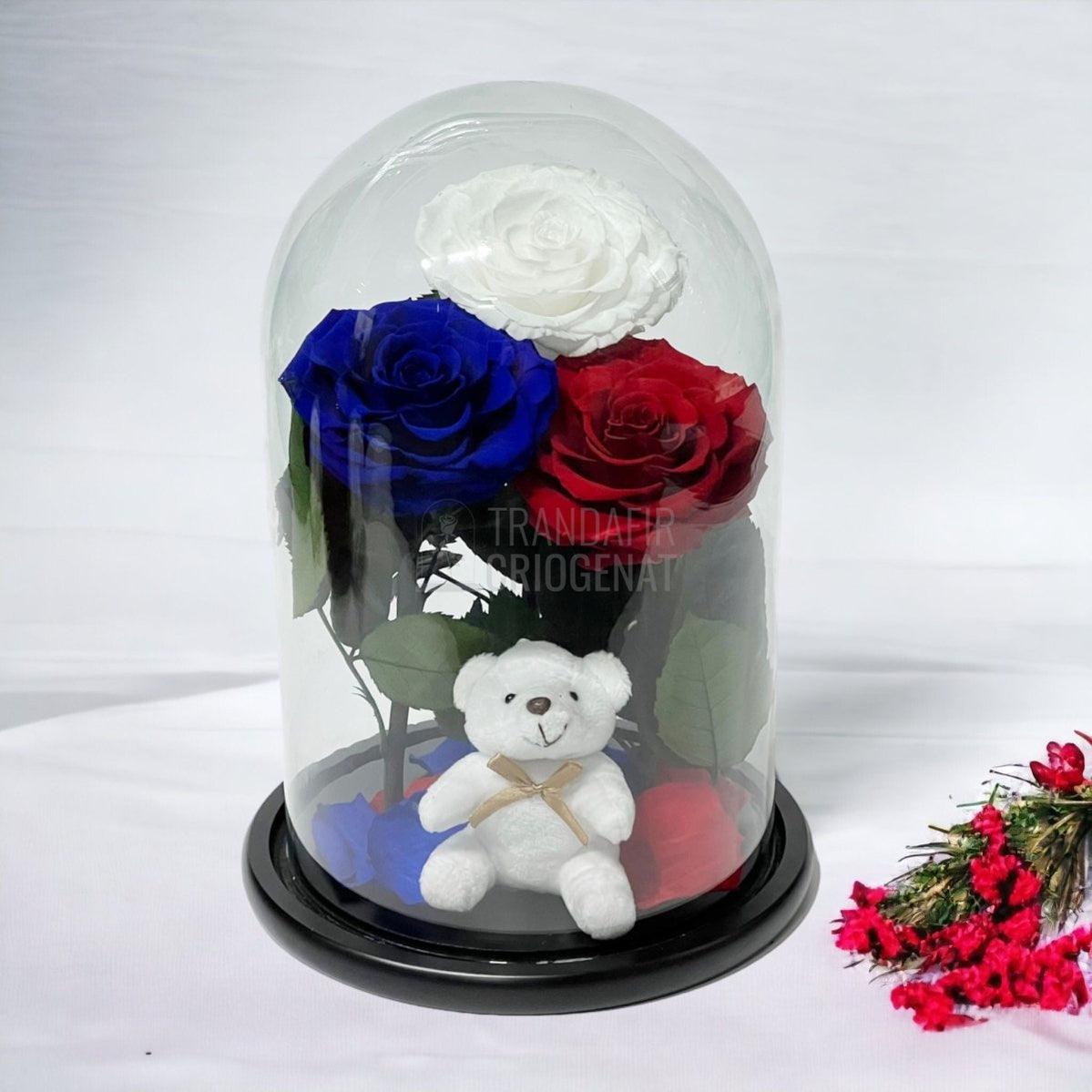 3 Trandafiri Criogenati mari, alb, albastru, rosu, cupola ursulet - Trandafir-Criogenat.ro