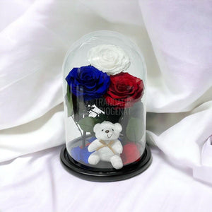3 Trandafiri Criogenati mari, alb, albastru, rosu, cupola ursulet - Trandafir-Criogenat.ro
