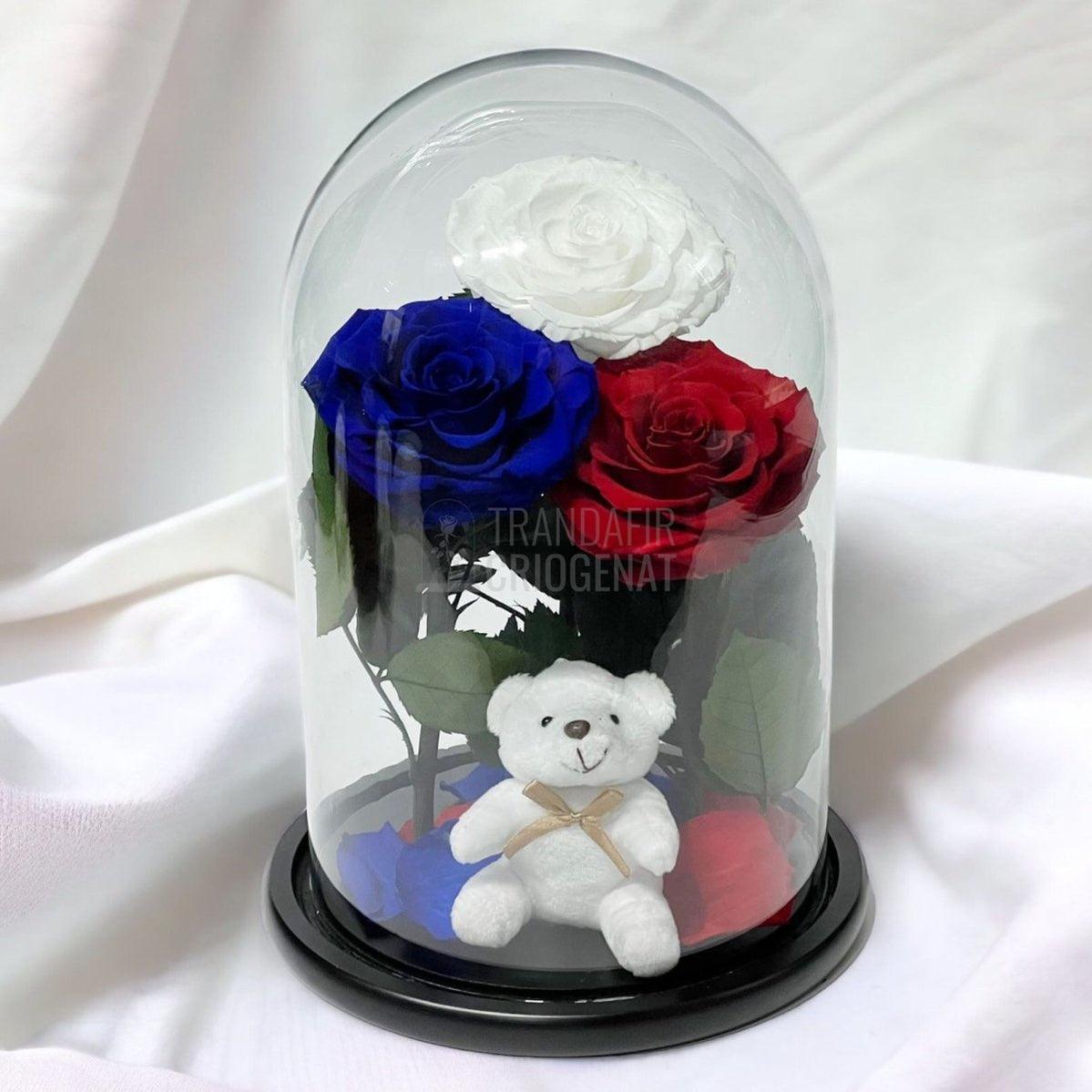 3 Trandafiri Criogenati mari, alb, albastru, rosu, cupola ursulet - Trandafir-Criogenat.ro