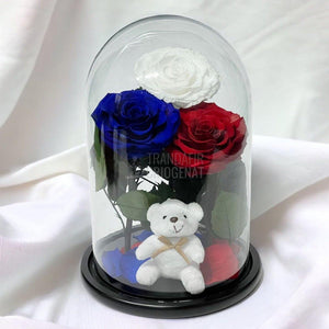 3 Trandafiri Criogenati mari, alb, albastru, rosu, cupola ursulet - Trandafir-Criogenat.ro