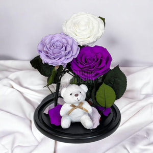 3 Trandafiri Criogenati mari, alb, lila, purpuriu, cupola ursulet - Trandafir-Criogenat.ro