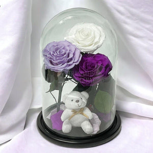 3 Trandafiri Criogenati mari, alb, lila, purpuriu, cupola ursulet - Trandafir-Criogenat.ro