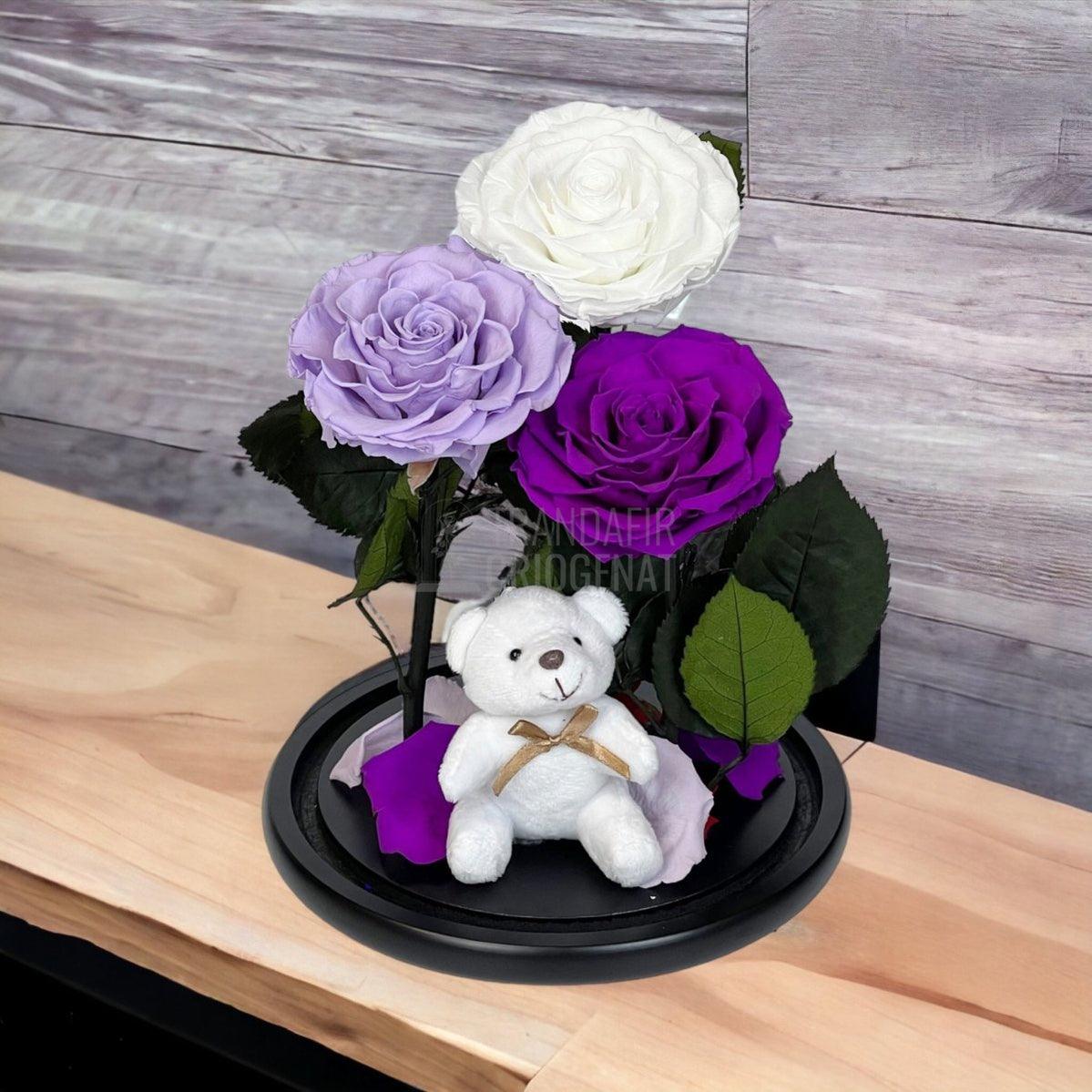 3 Trandafiri Criogenati mari, alb, lila, purpuriu, cupola ursulet - Trandafir-Criogenat.ro