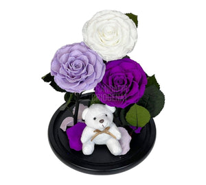 3 Trandafiri Criogenati mari, alb, lila, purpuriu, cupola ursulet - Trandafir-Criogenat.ro