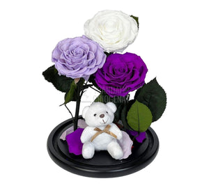 3 Trandafiri Criogenati mari, alb, lila, purpuriu, cupola ursulet - Trandafir-Criogenat.ro