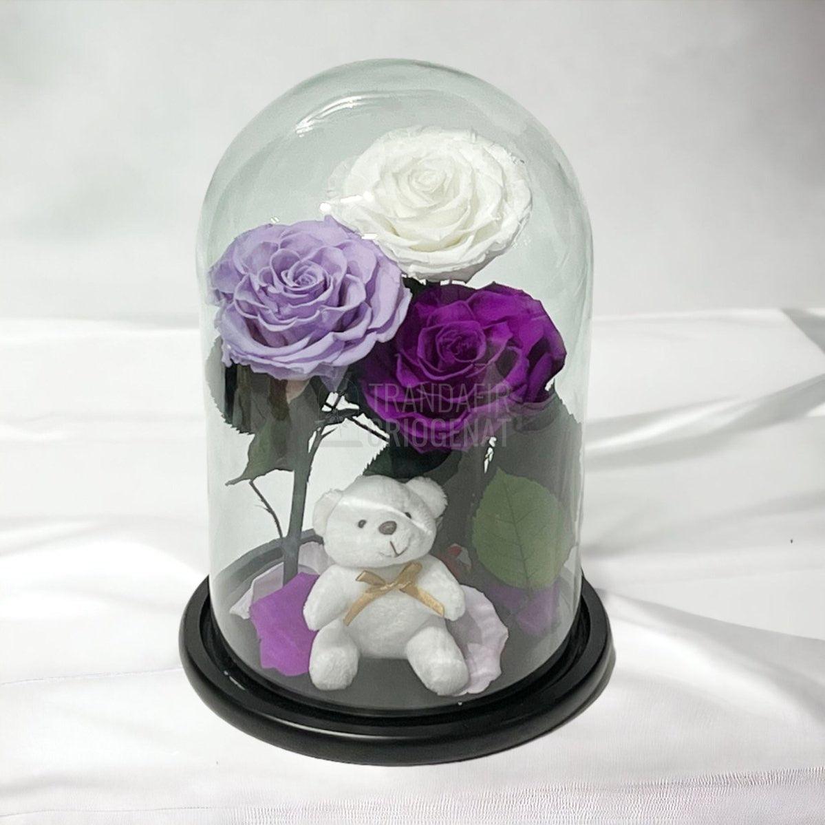3 Trandafiri Criogenati mari, alb, lila, purpuriu, cupola ursulet - Trandafir-Criogenat.ro