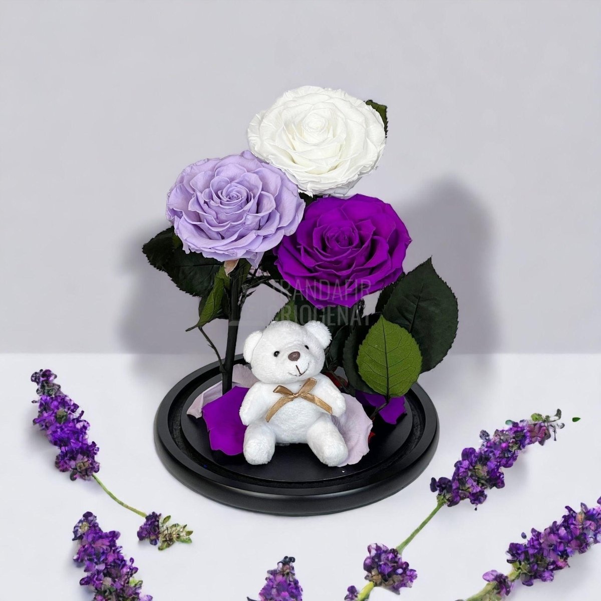 3 Trandafiri Criogenati mari, alb, lila, purpuriu, cupola ursulet - Trandafir-Criogenat.ro